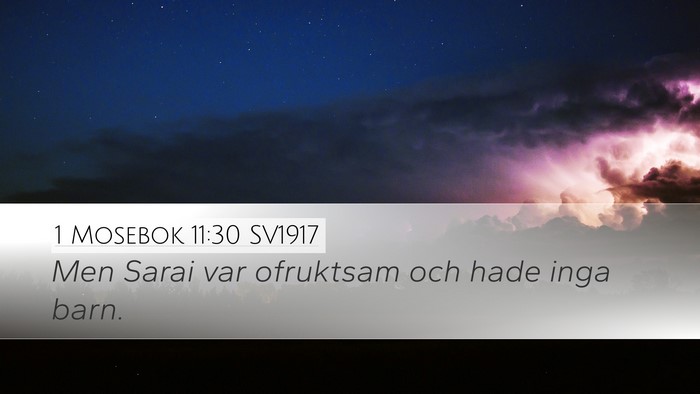 1 Mosebok 11:30 SV1917 Bible Verse Image