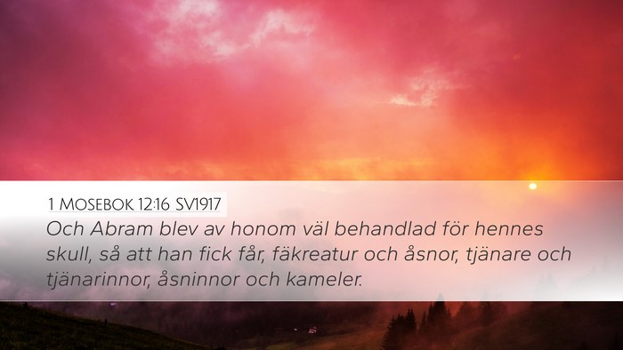 1 Mosebok 12:16 SV1917 Bible Verse Image