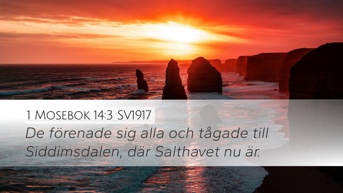 1 Mosebok 14:3 SV1917 Bible Verse Image