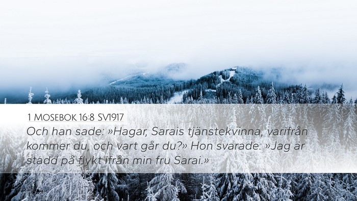 1 Mosebok 16:8 SV1917 Bible Verse Image