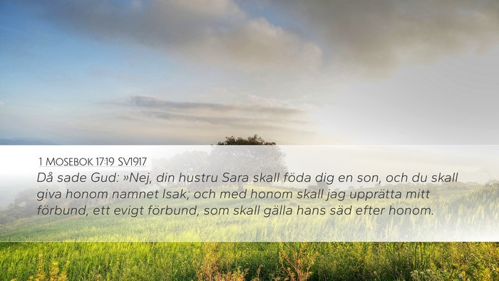1 Mosebok 17:19 SV1917 Bible Verse Image