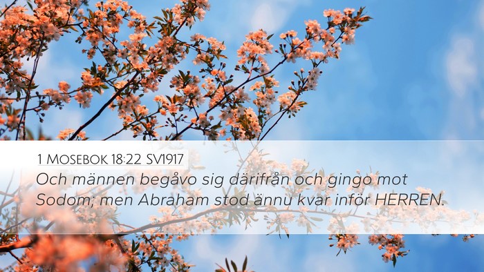 1 Mosebok 18:22 SV1917 Bible Verse Image