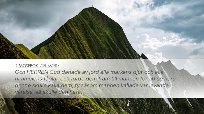 1 Mosebok 2:19 SV1917 Bible Verse Image