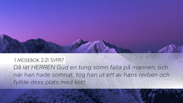 1 Mosebok 2:21 SV1917 Bible Verse Image