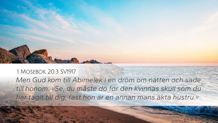 1 Mosebok 20:3 SV1917 Bible Verse Image