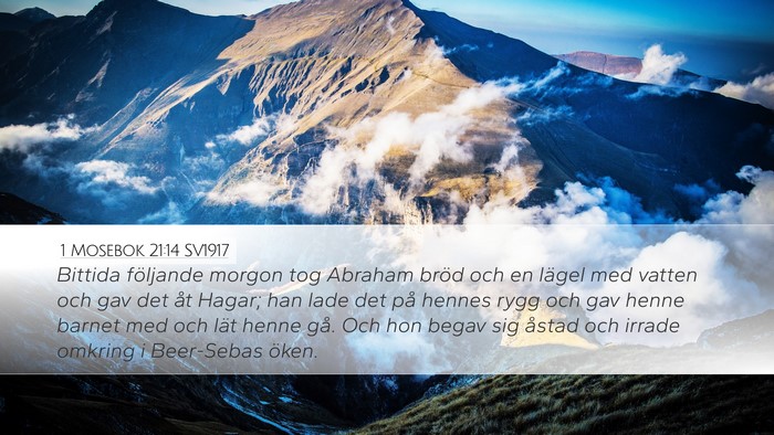 1 Mosebok 21:14 SV1917 Bible Verse Image
