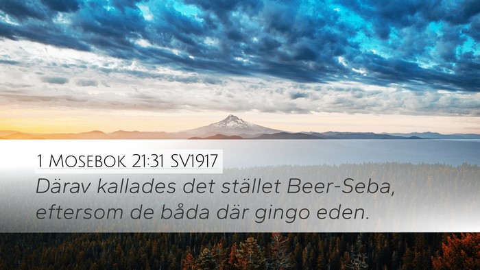 1 Mosebok 21:31 SV1917 Bible Verse Image