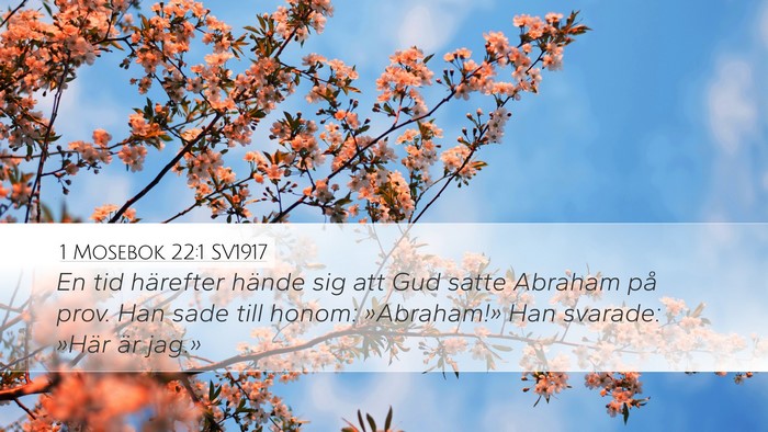 1 Mosebok 22:1 SV1917 Desktop Wallpaper - En tid härefter hände sig att Gud satte Abraham - Desktop Bible Verse Wallpaper