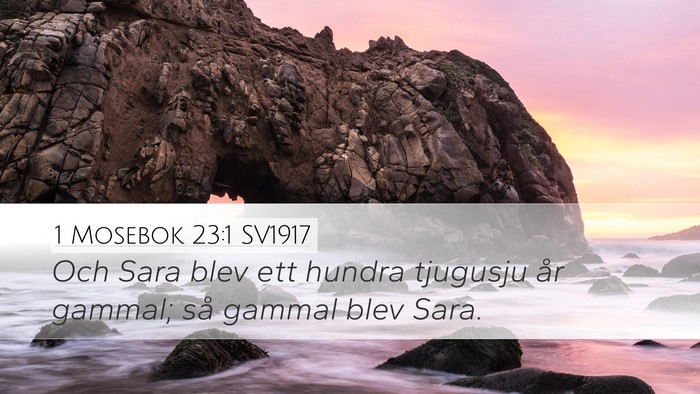 1 Mosebok 23:1 SV1917 Bible Verse Image