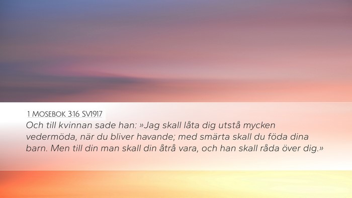 1 Mosebok 3:16 SV1917 Bible Verse Image