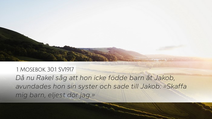 1 Mosebok 30:1 SV1917 Desktop Wallpaper - Då nu Rakel såg att hon icke födde barn åt - Desktop Bible Verse Wallpaper