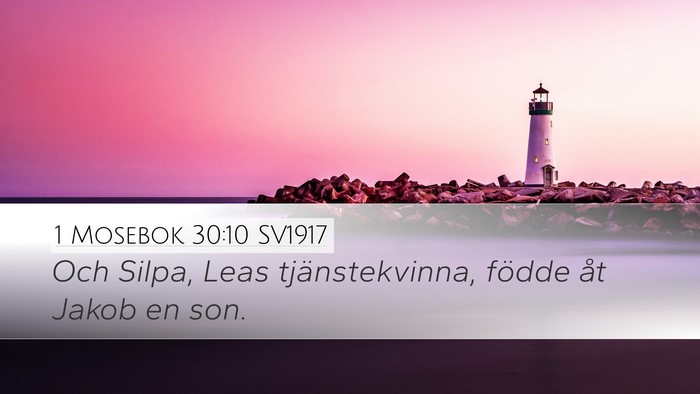 1 Mosebok 30:10 SV1917 Bible Verse Image