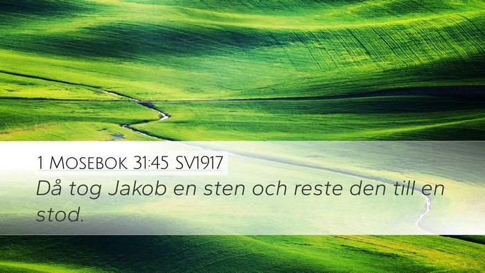 1 Mosebok 31:45 SV1917 Bible Verse Image