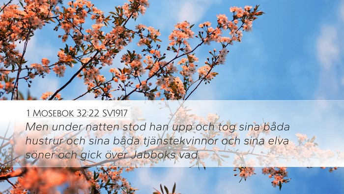 1 Mosebok 32:22 SV1917 Bible Verse Image