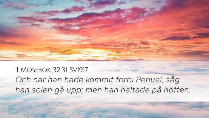 1 Mosebok 32:31 SV1917 Bible Verse Image