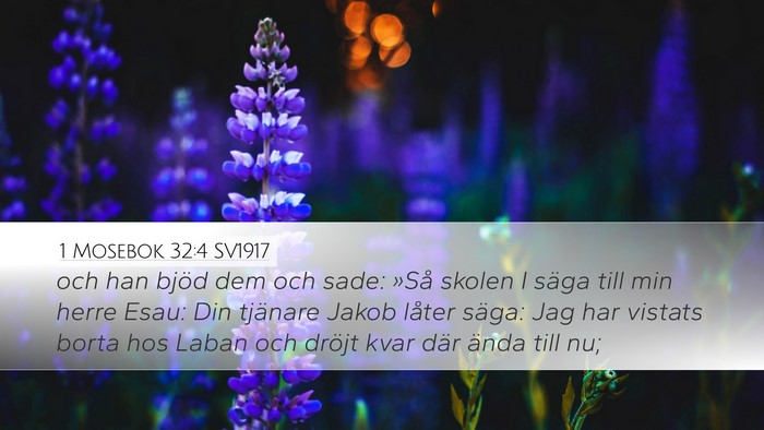 1 Mosebok 32:4 SV1917 Bible Verse Image