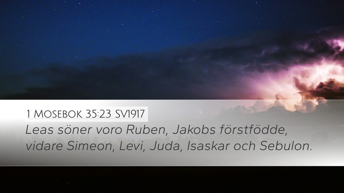 1 Mosebok 35:23 SV1917 Bible Verse Image