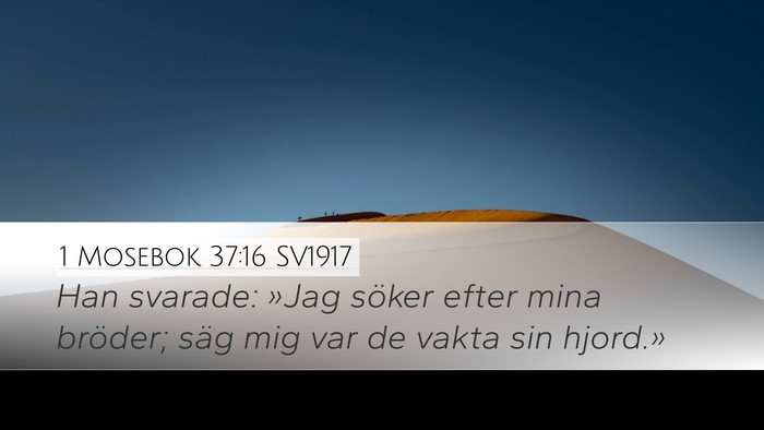 1 Mosebok 37:16 SV1917 Desktop Wallpaper - Han svarade: »Jag söker efter mina bröder; - Desktop Bible Verse Wallpaper