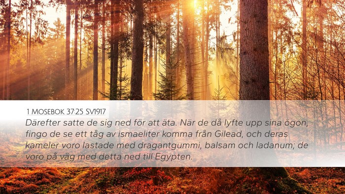 1 Mosebok 37:25 SV1917 Bible Verse Image