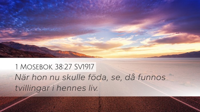 1 Mosebok 38:27 SV1917 Desktop Wallpaper - När hon nu skulle föda, se, då funnos - Desktop Bible Verse Wallpaper
