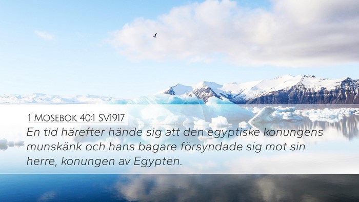 1 Mosebok 40:1 SV1917 Desktop Wallpaper - En tid härefter hände sig att den egyptiske - Desktop Bible Verse Wallpaper