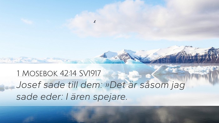 1 Mosebok 42:14 SV1917 Bible Verse Image