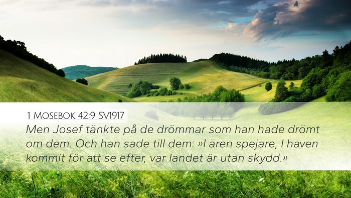 1 Mosebok 42:9 SV1917 Bible Verse Image