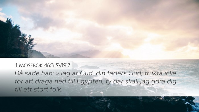 1 Mosebok 46:3 SV1917 Bible Verse Image
