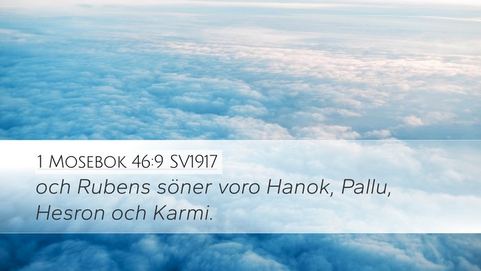 1 Mosebok 46:9 SV1917 Bible Verse Image
