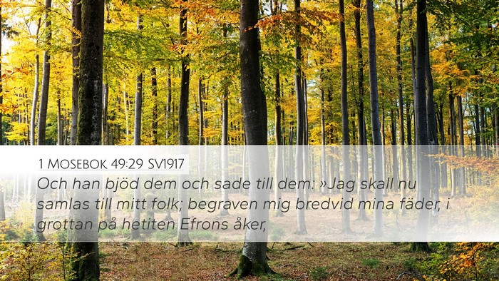 1 Mosebok 49:29 SV1917 Bible Verse Image