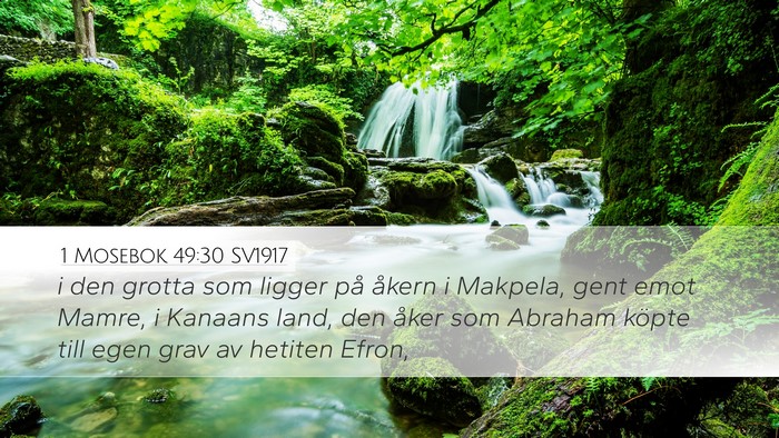 1 Mosebok 49:30 SV1917 Bible Verse Image