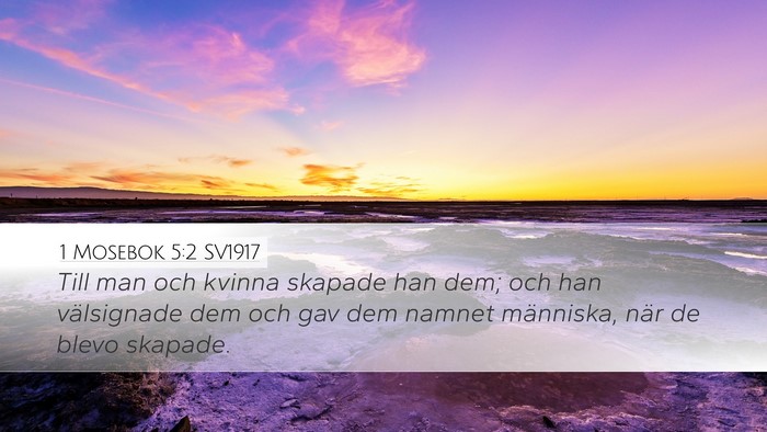 1 Mosebok 5:2 SV1917 Bible Verse Image