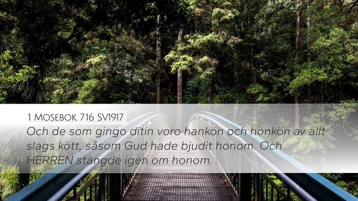 1 Mosebok 7:16 SV1917 Bible Verse Image