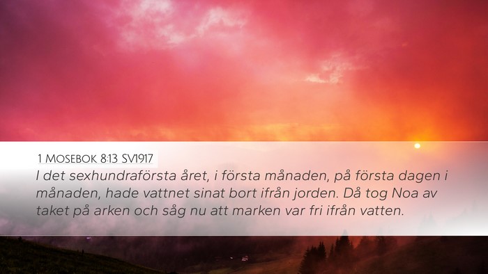 1 Mosebok 8:13 SV1917 Bible Verse Image