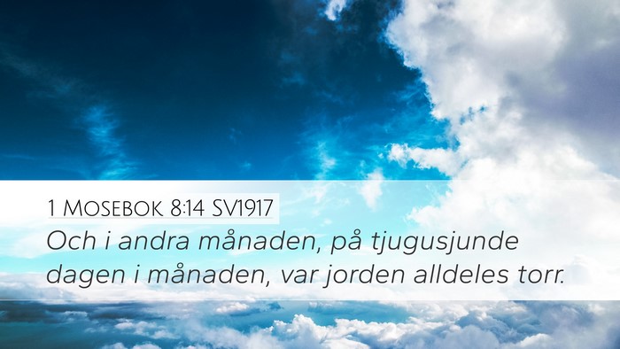 1 Mosebok 8:14 SV1917 Desktop Wallpaper - Och i andra månaden, på tjugusjunde dagen i - Desktop Bible Verse Wallpaper