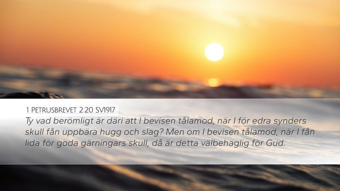 1 Petrusbrevet 2:20 SV1917 Bible Verse Image