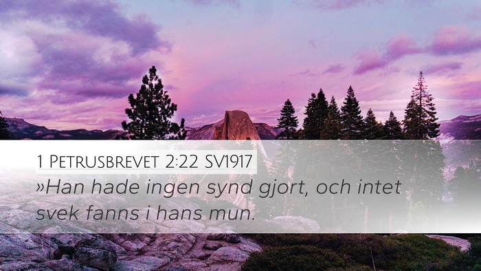 1 Petrusbrevet 2:22 SV1917 Bible Verse Image
