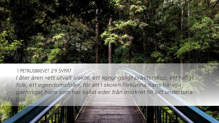 1 Petrusbrevet 2:9 SV1917 Bible Verse Image