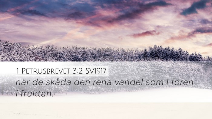 1 Petrusbrevet 3:2 SV1917 Bible Verse Image