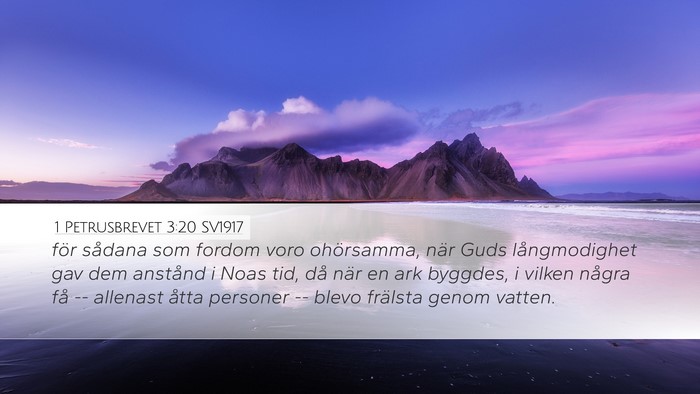 1 Petrusbrevet 3:20 SV1917 Bible Verse Image