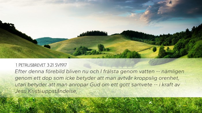 1 Petrusbrevet 3:21 SV1917 Bible Verse Image