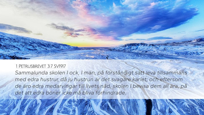1 Petrusbrevet 3:7 SV1917 Bible Verse Image