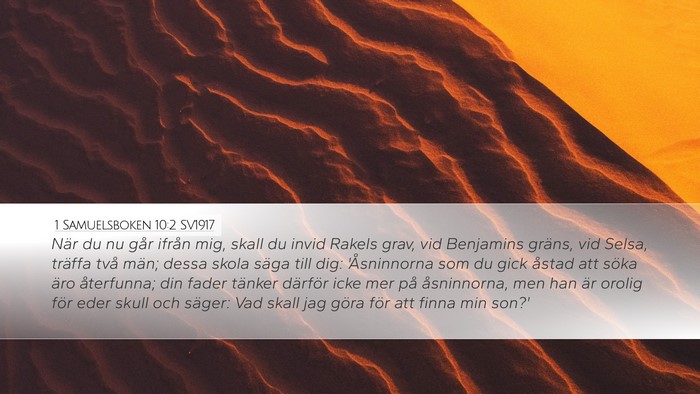 1 Samuelsboken 10:2 SV1917 Bible Verse Image