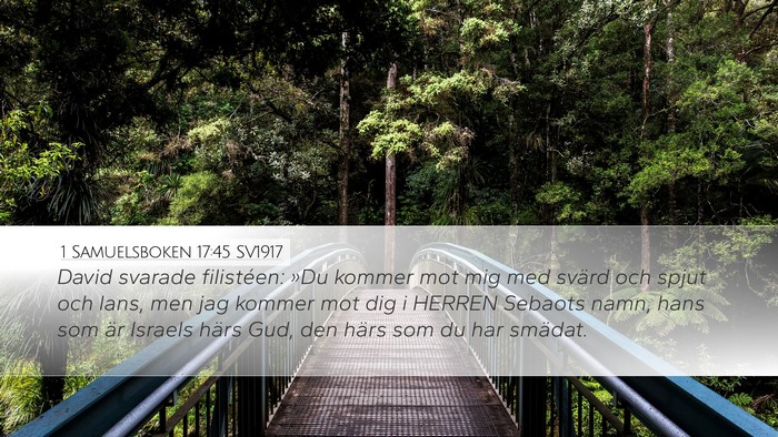 1 Samuelsboken 17:45 SV1917 Bible Verse Image
