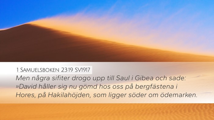 1 Samuelsboken 23:19 SV1917 Bible Verse Image