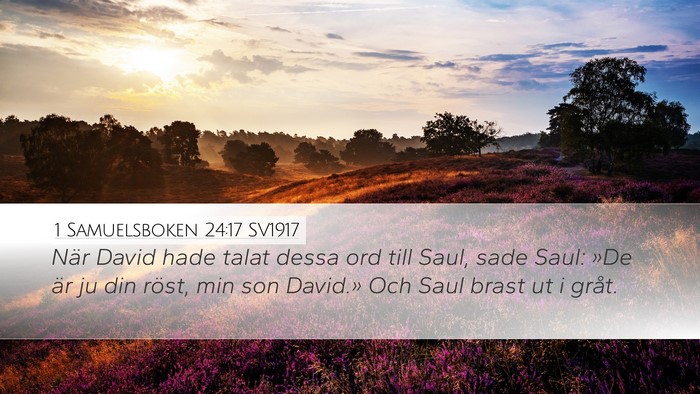 1 Samuelsboken 24:17 SV1917 Bible Verse Image