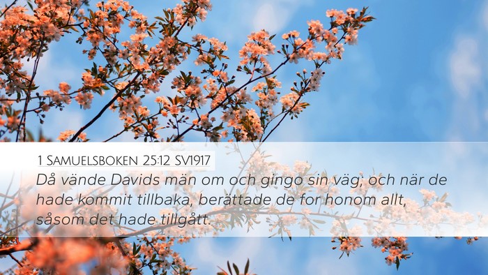 1 Samuelsboken 25:12 SV1917 Desktop Wallpaper - Då vände Davids män om och gingo sin väg; och - Desktop Bible Verse Wallpaper