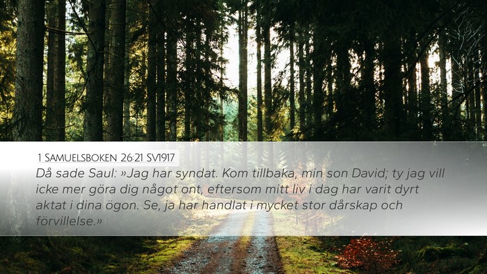 1 Samuelsboken 26:21 SV1917 Bible Verse Image