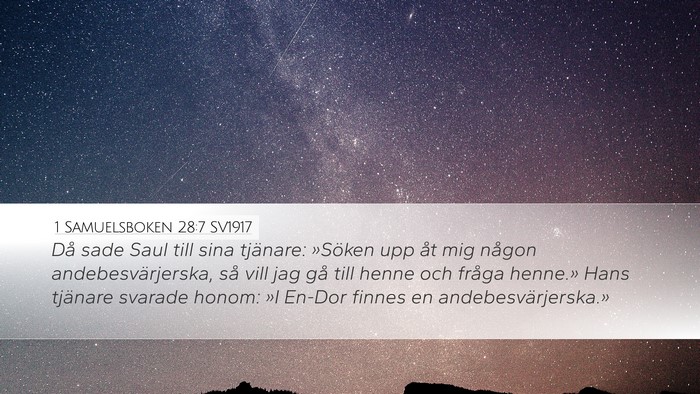 1 Samuelsboken 28:7 SV1917 Bible Verse Image