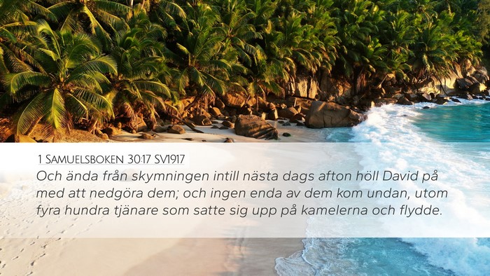 1 Samuelsboken 30:17 SV1917 Bible Verse Image